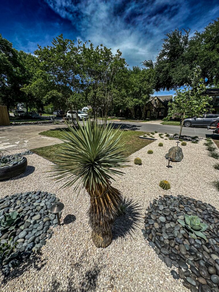 Do You Need to Hire an Austin Professional Landscape Designer?