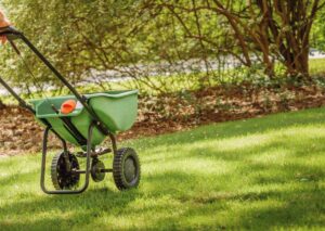 What Is The Benefit of Lawn Fertilization in Austin?