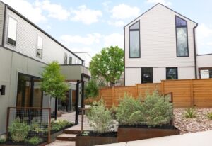 Austin Landscaping Backyard Guide – Design, Transform, Thrive