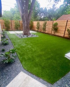 When to Fertilize Your Austin Lawn: A Seasonal Guide for Healthy Grass