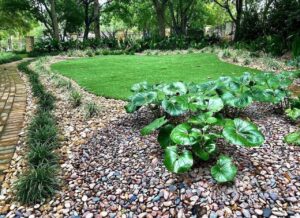 Why Lawn Fertilization And Weed Control Is Key to a Healthy Lawn